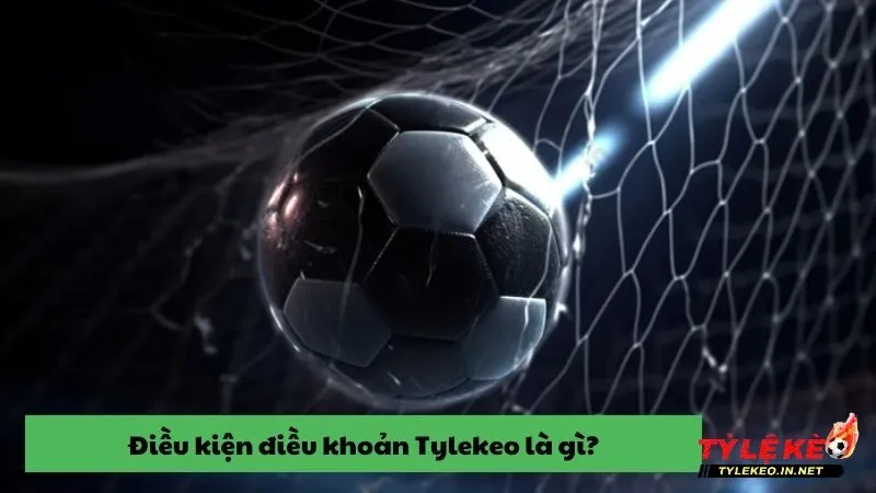 Điều khoản điều kiện rất quan trọng tại trang tin bóng đá Tylekeo