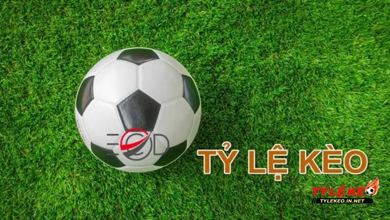 Thực lực thi đấu thực tế của đội bóng có thể ảnh hưởng đến tỷ lệ kèo