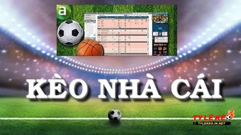 Người chơi cần chú ý đến biến động tỷ lệ kèo nhà cái
